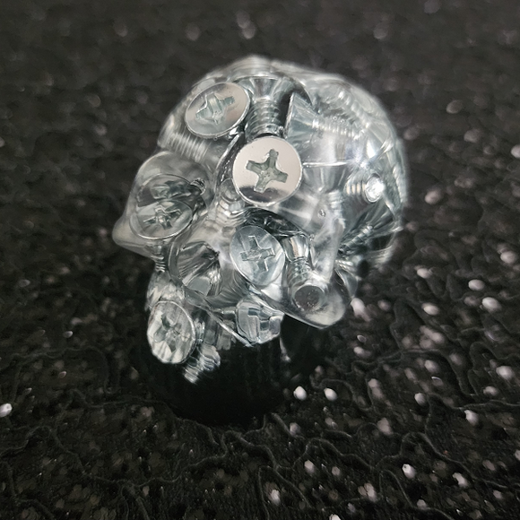 Resin Mini Skull - Screws with Black
