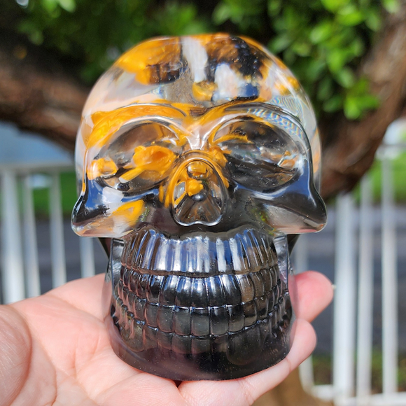 Resin Skull - Koi Fish Pond