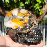 Resin Skull - Koi Fish Pond