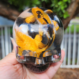 Resin Skull - Koi Fish Pond