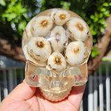 Resin Skull - Mini Pumpkins